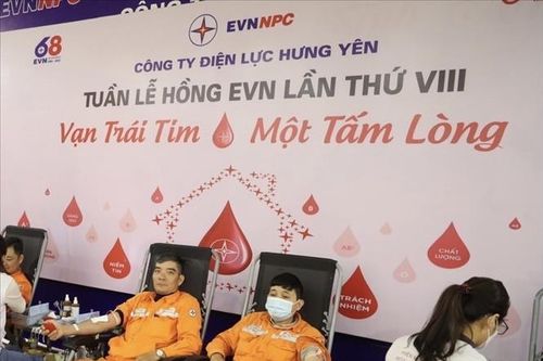 Tuần lễ hồng EVN tại Hưng Yên