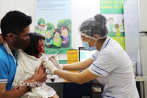 Một ca tử vong nghi do nhiễm virus dại sau khi bị chó cắn