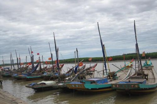 Hà Tĩnh: Ngư dân tất bật vươn khơi những ngày cuối năm