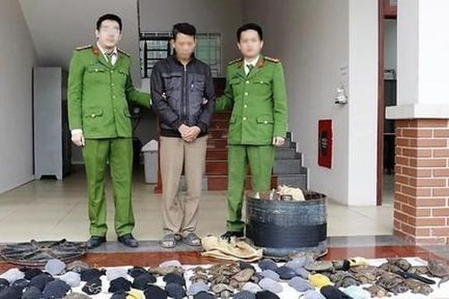 Mua 75 cá thể rùa quý hiếm từ nước ngoài về bán kiếm lời
