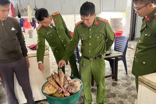 Bắt quả tang cơ sở kinh doanh ở Hà Tĩnh chứa hơn 400 kg động vật bốc mùi hôi thối