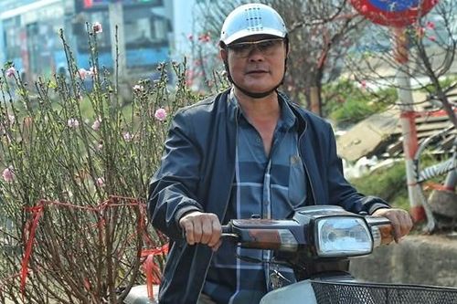 Người Hà Nội háo hức mua đào chơi Tết sớm