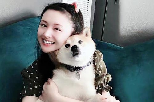 Cuộc sống hiện tại của Trịnh Sảng