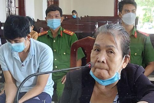 Lừa bán đất nền để chiếm đoạt 22 tỷ đồng