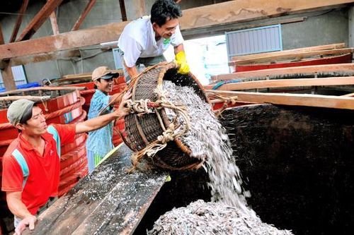 'Nghề làm Nước mắm Phú Quốc' đón bằng di sản phi vật thể cấp quốc gia