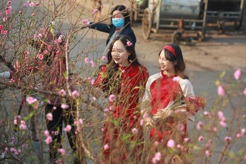 Hà Nội: Thiếu nữ mặc áo dài khoe sắc bên hoa đào nở sớm