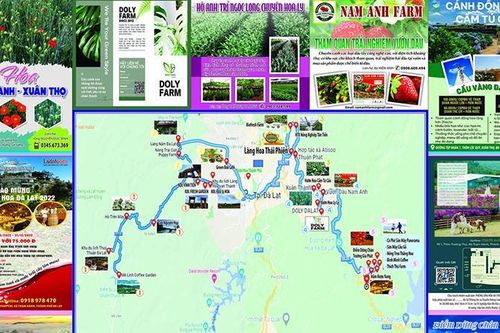 Tổ chức cuộc thi làm video 'Đà Lạt - du lịch những làng hoa'