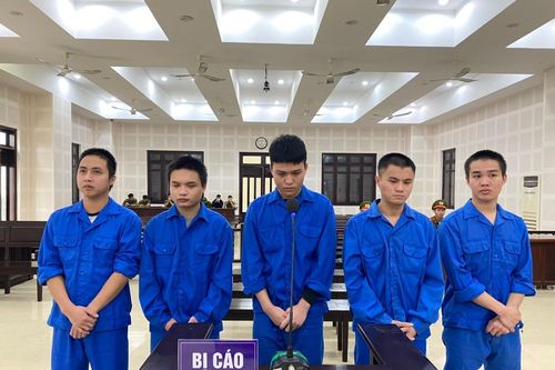 Lĩnh án tù vì trả thù cho bạn gái