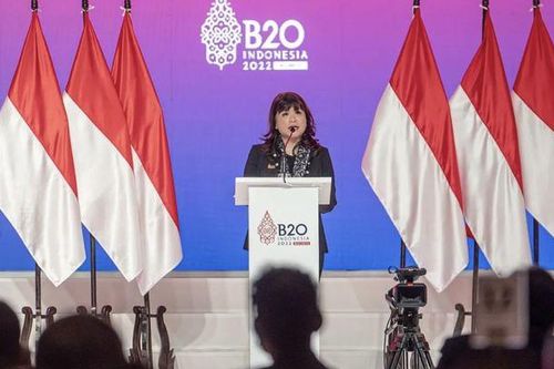 Phó Chủ tịch Kadin: Indonesia và Việt Nam còn nhiều tiềm năng hợp tác