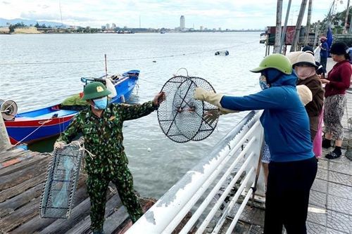 Xác minh hai tàu cá đâm chìm tàu của ngư dân Cà Mau rồi bỏ chạy