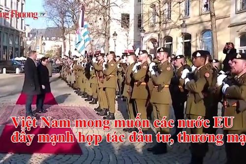 Việt Nam mong muốn các nước EU đẩy mạnh hợp tác đầu tư, thương mại