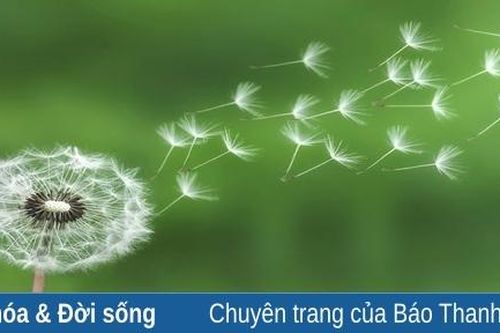 Cố nhân khạo khờ