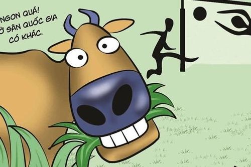 Phỏng vấn một khán giả