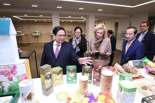 Quan hệ hợp tác Việt Nam - Bỉ ngày càng thực chất, hiệu quả