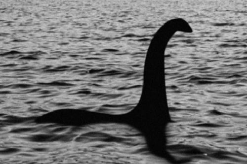 Bắt gặp sinh vật kỳ dị giống 'quái vật hồ Loch Ness' huyền thoại