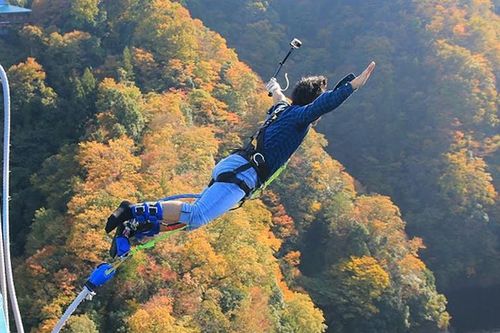'Rớt tim' với cú nhảy bungee thử 'thần kinh thép' người chơi