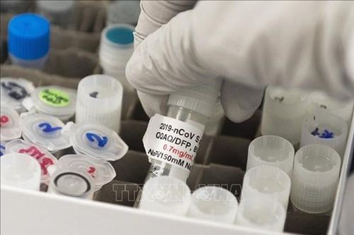 CDC Mỹ: Thông tin sai lệch về vaccine là mối đe dọa sức khỏe cộng đồng