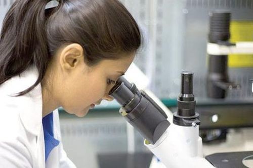 Tìm thấy hoạt chất chống ung thư từ thực vật