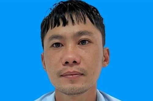 Lập công ty 'ma' để nhập khẩu, buôn lậu ngà voi, sừng tê giác xuyên quốc gia