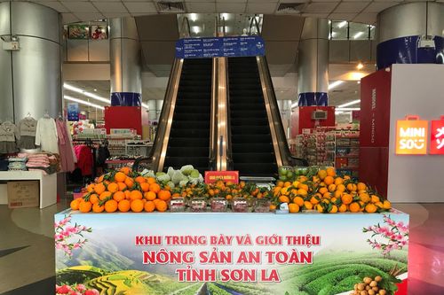 Tuần lễ thương mại, du lịch và nông sản an toàn tỉnh Sơn La 2022