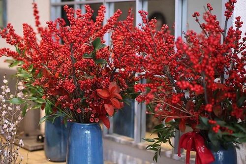 Sự thật loại hoa nhập khẩu tiền triệu hút khách dịp Tết