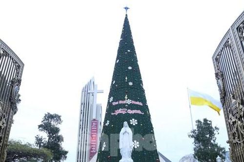 Nhìn gần cây thông Noel 'khủng' cao hơn tòa nhà 10 tầng ở xứ Nghệ