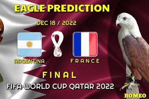 Dự đoán đội vô địch World Cup 2022: Phần lớn 'nhà tiên tri động vật' ưu ái Argentina