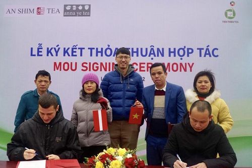 Công ty Trà Tiên Thiên hợp tác với doanh nghiệp Chè đến từ Mỹ và Latvia