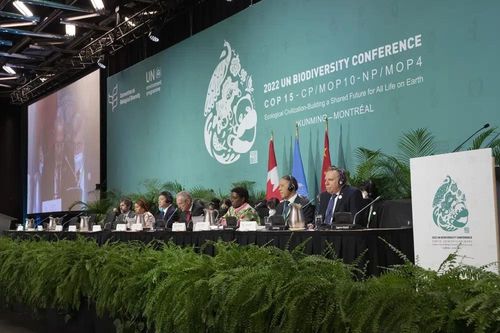 COP15 đạt thỏa thuận lịch sử