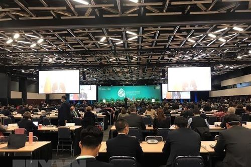 COP15: Trung Quốc đề xuất dự thảo khuôn khổ đa dạng sinh học toàn cầu