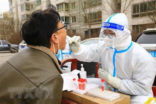 Trùng Khánh cho phép người mắc triệu chứng nhẹ đi làm bình thường