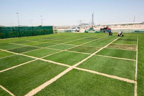 WORLD CUP 2022: Có một ốc đảo xanh giữa lòng Qatar