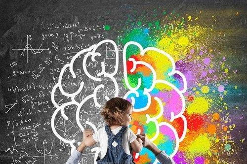 Chờ con vào lớp 1 mới phát triển trí não là quá muộn