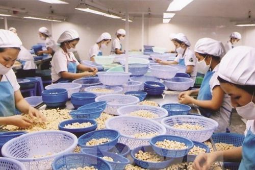 Xuất-nhập nông phẩm Việt có đáng lo?