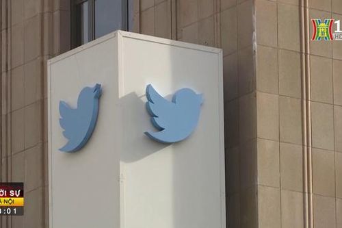 Elon Musk thăm dò ý kiến khả năng từ chức CEO Twitter