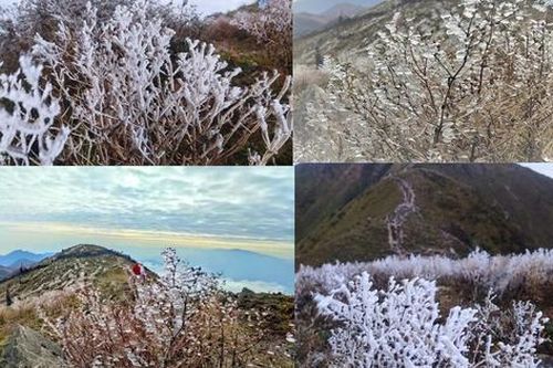 Hình ảnh băng tuyết phủ kín đỉnh Tà Chì Nhù ở Yên Bái
