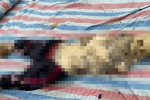 Hà Tĩnh: Phát hiện thi thể nữ giới đang phân hủy ở cảng biển