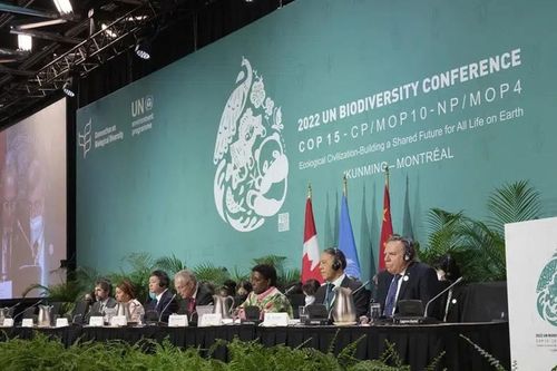 Đạt thỏa thuận lịch sử về đa dạng sinh học