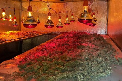 Bắt giữ nhiều đối tượng vi phạm pháp luật liên quan đến ma túy