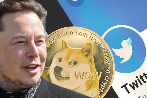 Elon Musk có thể từ chức CEO Twitter, đồng DOGE giảm mạnh