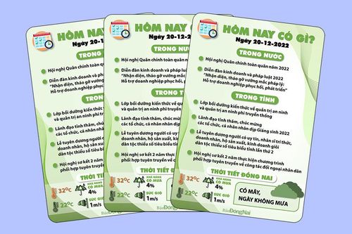 Hôm nay có gì? Ngày 20-12-2022