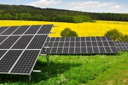 PETRONAS và IHI hợp tác sản xuất amoniac xanh từ năng lượng tái tạo ở Malaysia