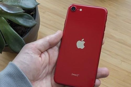 Người dùng không mặn mà, Apple có thể cho 'khai tử' dòng iPhone giá rẻ này