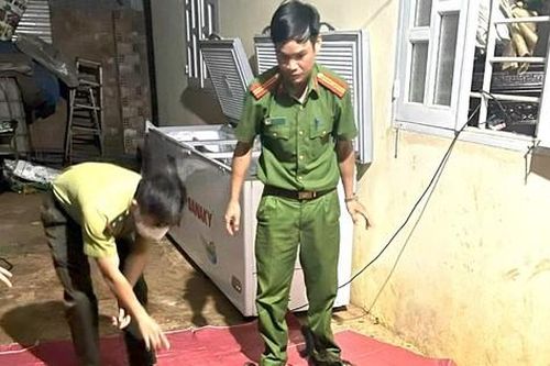 Người phụ nữ trữ 31 cá thể cầy vòi hương trong tủ lạnh