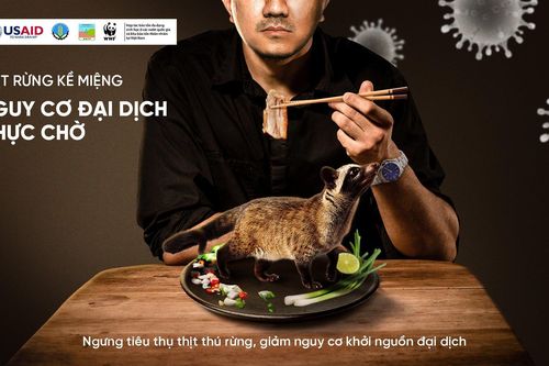 Khởi động chiến dịch giảm cầu tiêu thụ thịt động vật hoang dã dịp Tết