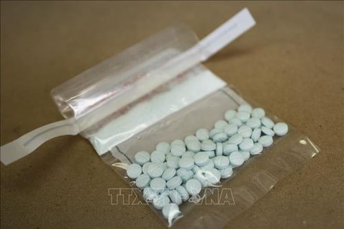 Mỹ thu giữ một lượng kỷ lục thuốc giảm đau fentanyl