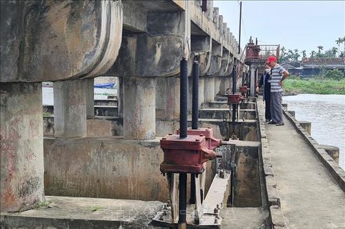 Người dân Quảng Ngãi khổ sở vì đập ngăn mặn hư hỏng, xuống cấp