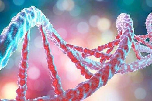 Các nhà khoa học phát hiện ra những gen mới, cho thấy con người vẫn đang tiến hóa!