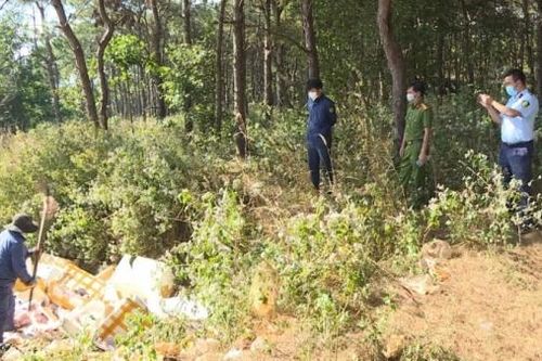 Gia Lai: Tiêu hủy hơn 600 kg thực phẩm không rõ nguồn gốc, xuất xứ