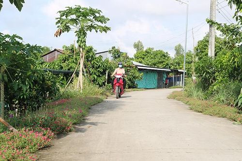 Công nhận kết quả Hội thi 'Tuyến đường nông thôn mới kiểu mẫu' tỉnh Đồng Tháp năm 2021